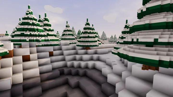 Snowfields and pine woods
