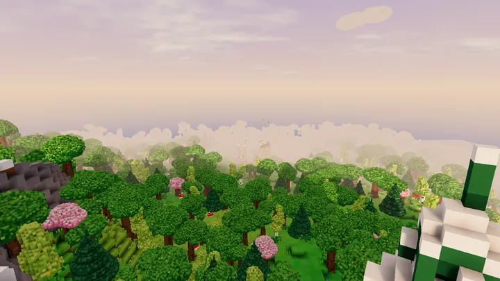 Looking out over the forest from a hilltop